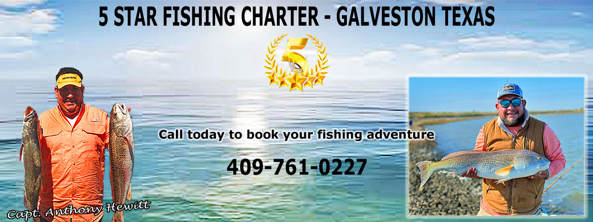 5 Star Fishing Charter